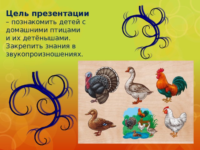 Цель презентации – познакомить детей с домашними птицами и их детёнышами. Закрепить знания в звукопроизношениях. 