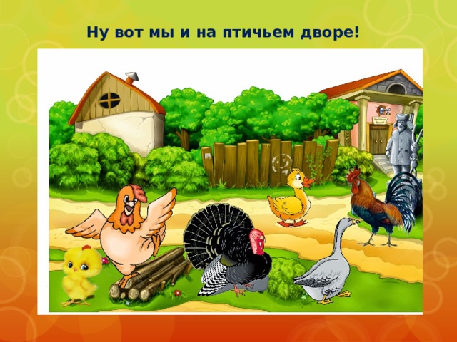 Ну вот мы и на птичьем дворе! 