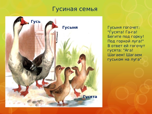 Гусиная семья Гусь Гусыня гогочет: 