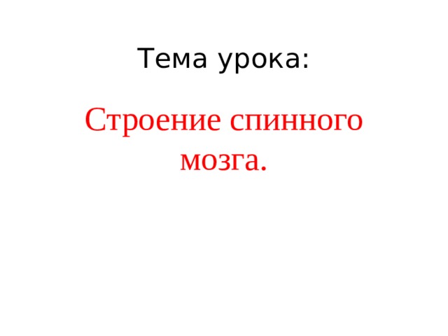 Тема урока: Строение спинного мозга. 