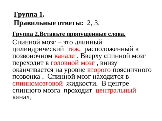 Группа 1 .  Правильные ответы: 2, 3. Группа 2.Вставьте пропущенные слова. Спинной мозг – это длинный цилиндрический тяж, расположенный в позвоночном канале . Вверху спинной мозг переходит в головной мозг , внизу оканчивается на уровне второго поясничного позвонка . Спинной мозг находится в спинномозговой жидкости. В центре спинного мозга проходит центральный канал.   