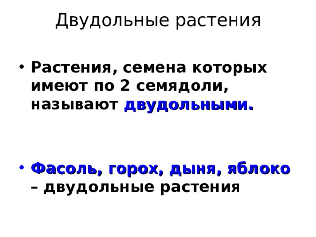 Двудольные растения   Растения, семена которых имеют по 2 семядоли, называют двудольными.   Фасоль, горох, дыня, яблоко – двудольные растения 