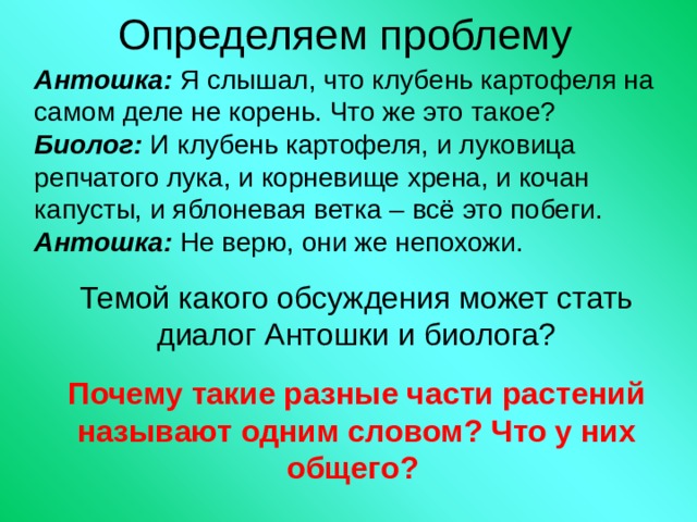 Определяем проблему Антошка: Я слышал, что клубень картофеля на самом деле не корень. Что же это такое? Биолог: И клубень картофеля, и луковица репчатого лука, и корневище хрена, и кочан капусты, и яблоневая ветка – всё это побеги. Антошка: Не верю, они же непохожи. Темой какого обсуждения может стать диалог Антошки и биолога? Почему такие разные части растений называют одним словом? Что у них общего?  