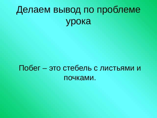 Делаем вывод по проблеме урока Побег – это стебель с листьями и почками. 