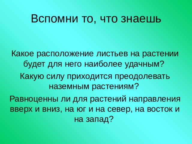 Вспомни то, что знаешь Какое расположение листьев на растении будет для него наиболее удачным? Какую силу приходится преодолевать наземным растениям? Равноценны ли для растений направления вверх и вниз, на юг и на север, на восток и на запад? 