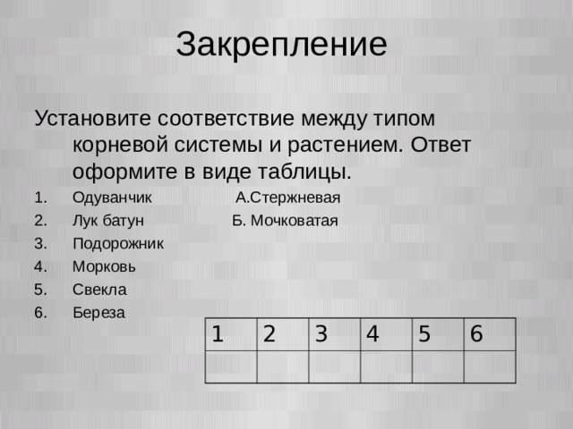 Закрепление Установите соответствие между типом корневой системы и растением. Ответ оформите в виде таблицы. Одуванчик А.Стержневая Лук батун Б. Мочковатая Подорожник Морковь Свекла Береза 1 2 3 4 5 6  