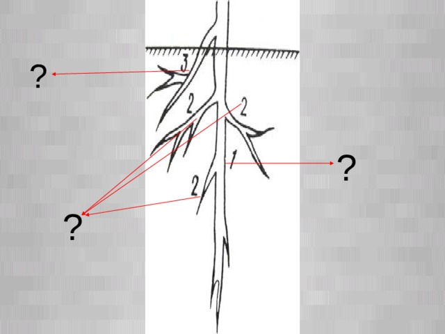 ?   ?  ?  