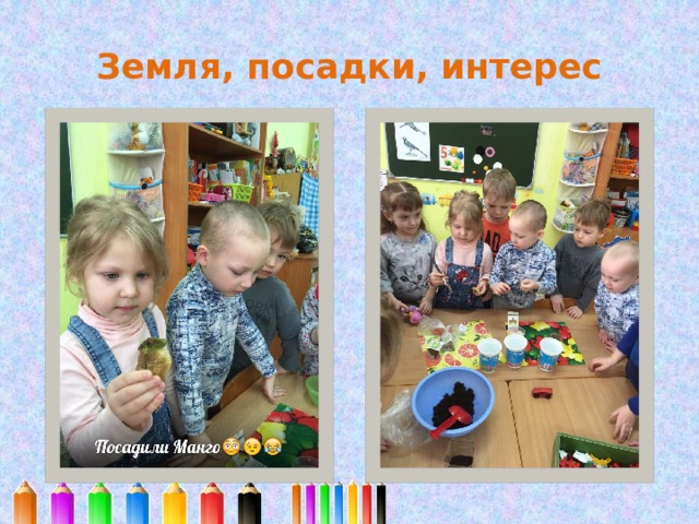 Земля, посадки, интерес 