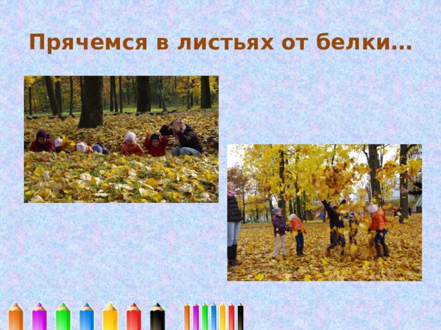 Прячемся в листьях от белки… 
