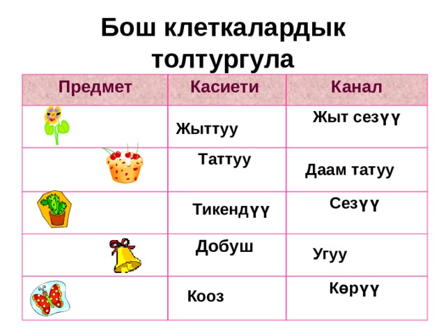 Бош клеткалардык толтургула Предмет Касиети Канал Таттуу Жыт сезүү Добуш Сезүү Көрүү Жыттуу Даам татуу Тикендүү Угуу Кооз 