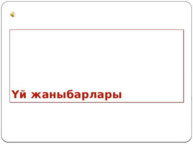 Үй жаныбарлары 