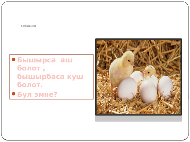 Табышмак Бышырса аш болот , бышырбаса куш болот. Бул эмне? 