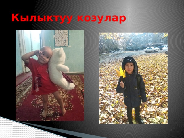 Кылыктуу козулар 