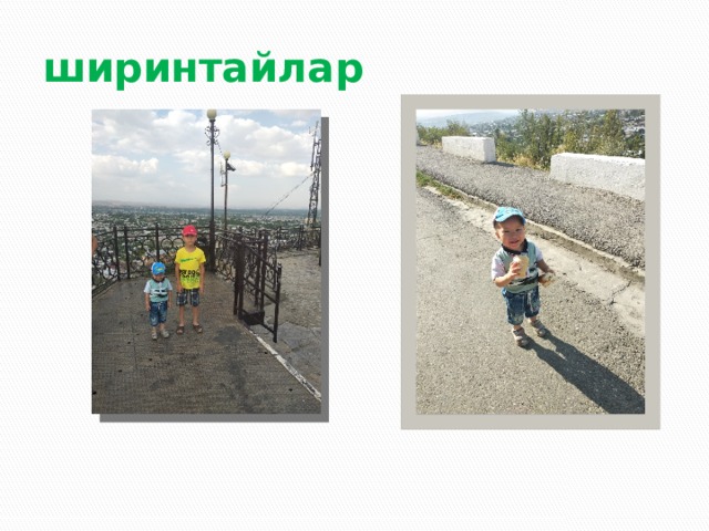 ширинтайлар 