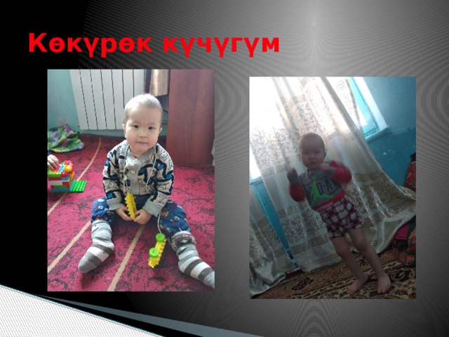 Көкүрөк күчүгүм 