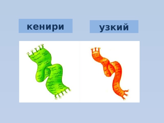 кенири узкий 