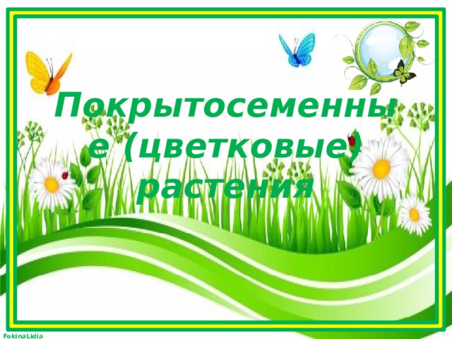 Покрытосеменные (цветковые) растения 