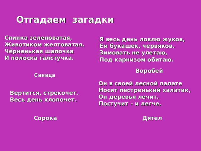 Отгадаем загадки Спинка зеленоватая, Животиком желтоватая. Чёрненькая шапочка И полоска галстучка.  Я весь день ловлю жуков, Ем букашек, червяков. Зимовать не улетаю, Под карнизом обитаю. Воробей Синица Он в своей лесной палате Носит пестренький халатик, Он деревья лечит. Постучит – и легче.  Вертится, стрекочет. Весь день хлопочет. Сорока Дятел 