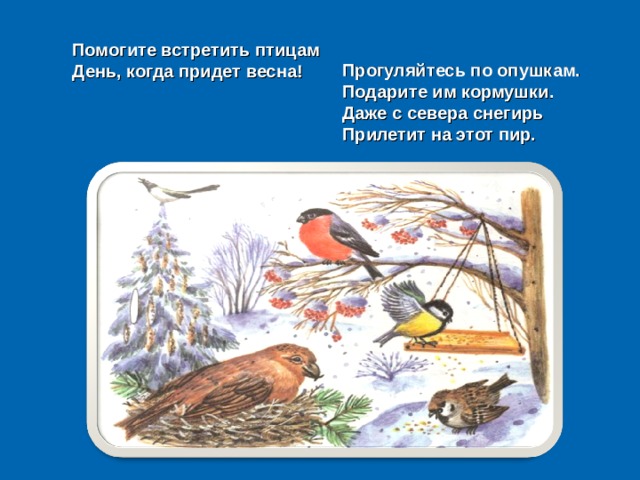 Помогите встретить птицам День, когда придет весна! Прогуляйтесь по опушкам. Подарите им кормушки. Даже с севера снегирь Прилетит на этот пир. 