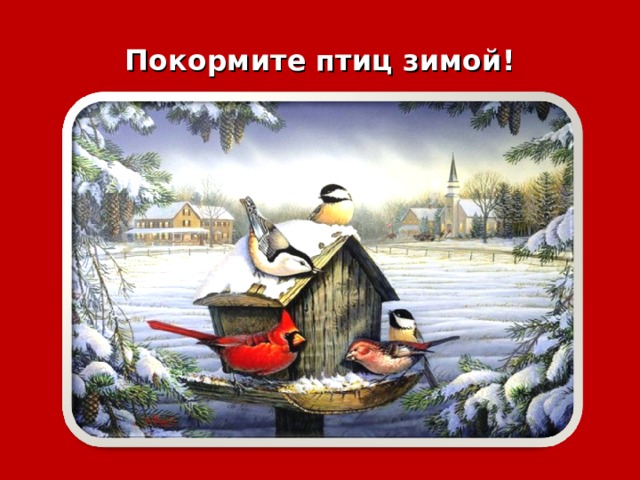 Покормите птиц зимой! 