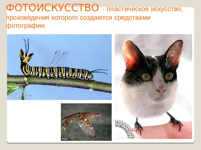 ФОТОИСКУССТВО - пластическое искусство, произведения которого создаются средствами фотографии.  