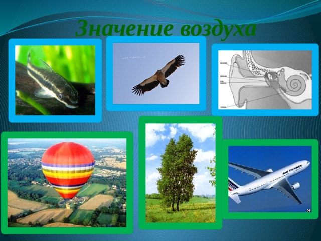 15.01.2010 Значение воздуха 