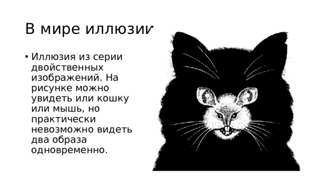 В мире иллюзии Иллюзия из серии двойственных изображений. На рисунке можно увидеть или кошку или мышь, но практически невозможно видеть два образа одновременно.   