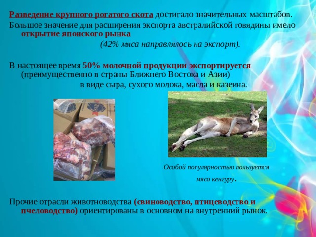 Разведение крупного рогатого скота достигало значительных масштабов. Большое значение для расширения экспорта австралийской говядины имело открытие японского рынка   (42% мяса направлялось на экспорт). В настоящее время 50% молочной продукции экспортируется (преимущественно в страны Ближнего Востока и Азии)  в виде сыра, сухого молока, масла и казеина. Прочие отрасли животноводства (свиноводство, птицеводство и пчеловодство) ориентированы в основном на внутренний рынок. Особой популярностью пользуется мясо кенгуру . 