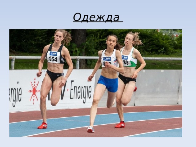 Одежда 