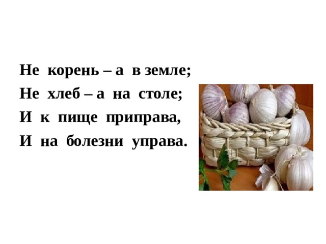 Не корень – а в земле; Не хлеб – а на столе; И к пище приправа, И на болезни управа. 