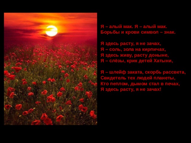 Я – алый мак. Я – алый мак. Борьбы и крови символ – знак.  Я здесь расту, я не зачах, Я – соль, зола на кирпичах, Я здесь живу, расту доныне, Я – слёзы, крик детей Хатыни,  Я – шлейф заката, скорбь рассвета, Свидетель тех людей планеты, Кто пеплом, дымом стал в печах, Я здесь расту, я не зачах!  