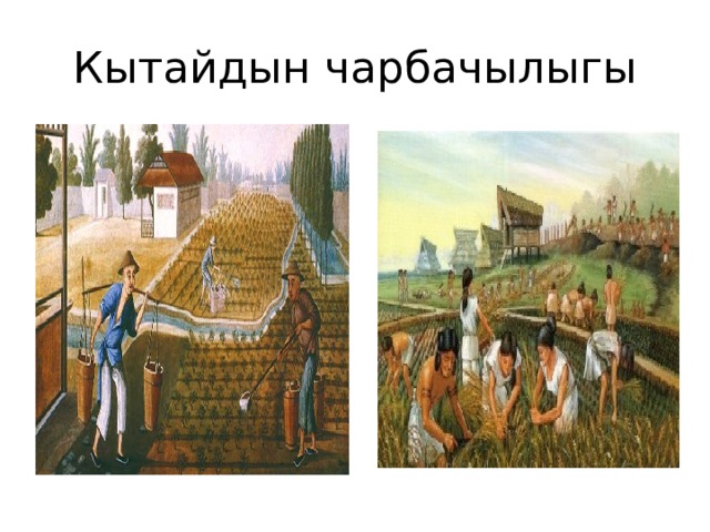 Кытайдын чарбачылыгы 