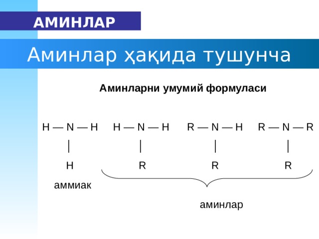   АМИН ЛАР Аминлар ҳақида тушунча  А мин ларни  умумий формул аси  Н  — N — H Н — N — H R — N — H R — N — R  │ │ │ │  H R R R  аммиак  амин лар 