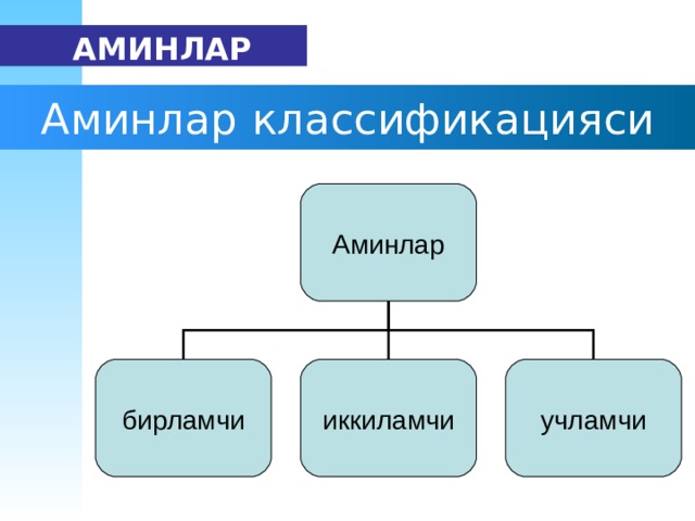   АМИН ЛАР А мин лар  к лассификация си Аминлар бирламчи иккиламчи учламчи 