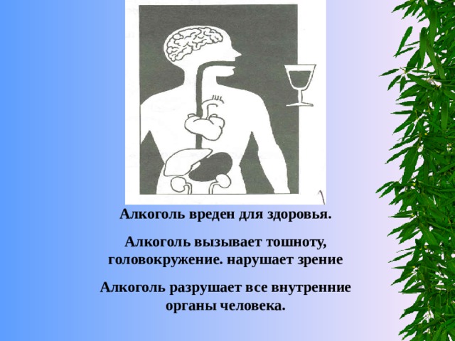 Алкоголь вреден для здоровья. Алкоголь вызывает тошноту, головокружение. нарушает зрение Алкоголь разрушает все внутренние органы человека. 