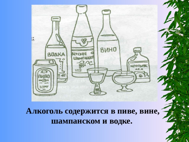 Алкоголь содержится в пиве, вине, шампанском и водке. 