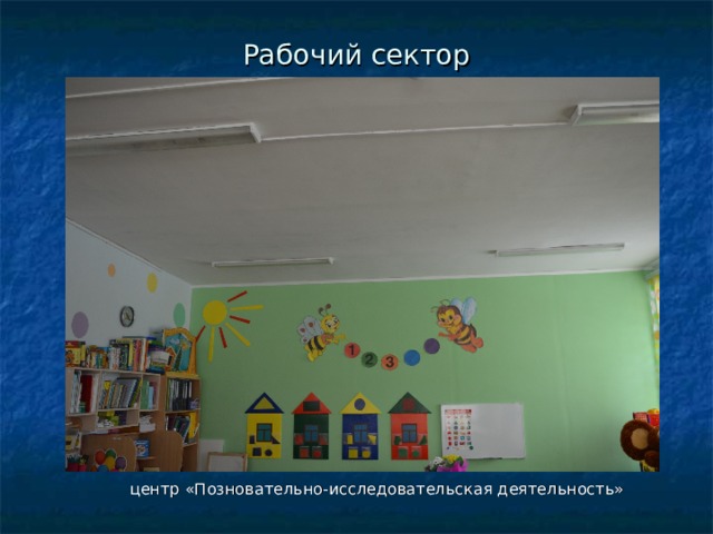Рабочий сектор  центр «Позновательно-исследовательская деятельность» 
