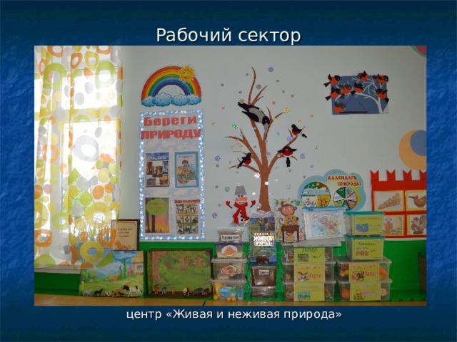 Рабочий сектор центр «Живая и неживая природа» 