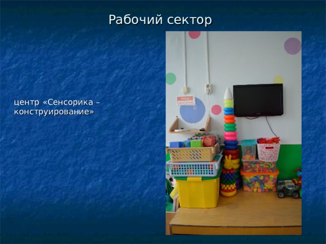 Рабочий сектор центр «Сенсорика – конструирование» 