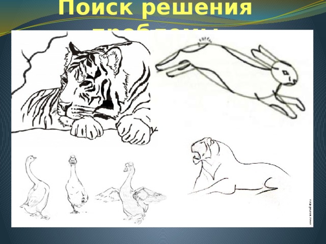 Поиск решения проблемы 