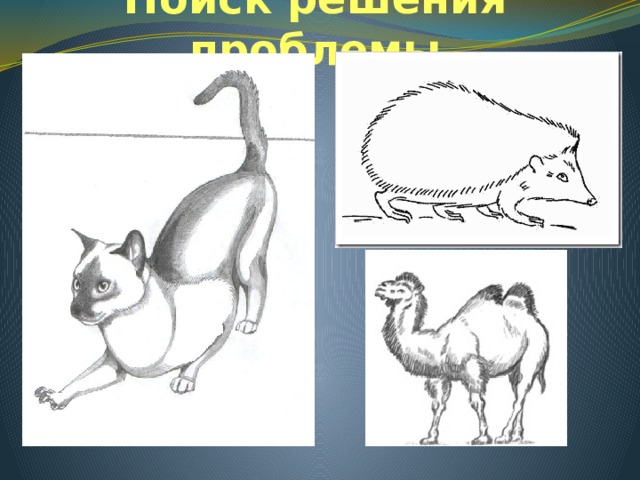 Поиск решения проблемы 