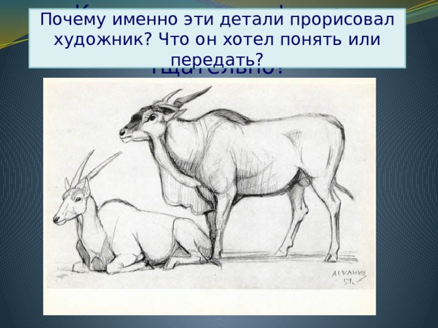 Какие элементы фигуры прорисованы более тщательно? Почему именно эти детали прорисовал художник? Что он хотел понять или передать? 