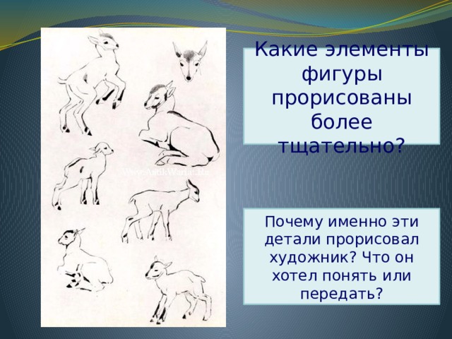 Какие элементы фигуры прорисованы более тщательно? Почему именно эти детали прорисовал художник? Что он хотел понять или передать? 