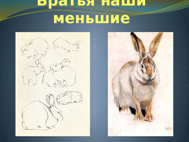 Братья наши меньшие Наброски В. Ватагина  