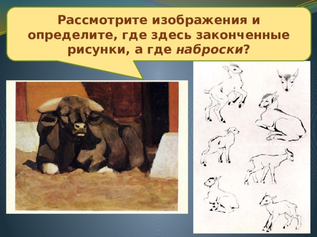 Рассмотрите изображения и определите, где здесь законченные рисунки, а где наброски ? В. Ватагин  