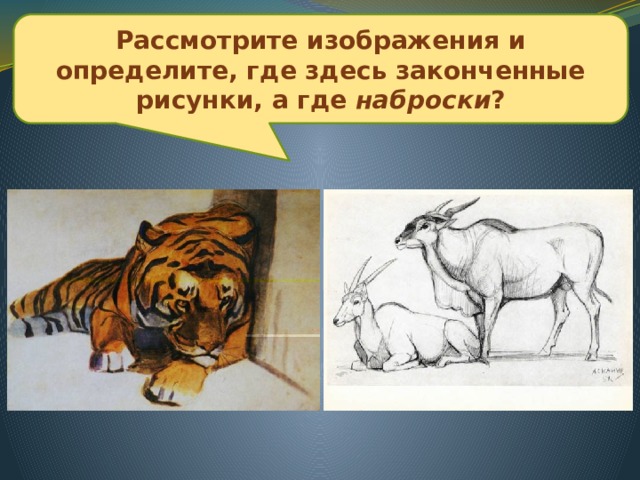 Рассмотрите изображения и определите, где здесь законченные рисунки, а где наброски ? В. Ватагин  