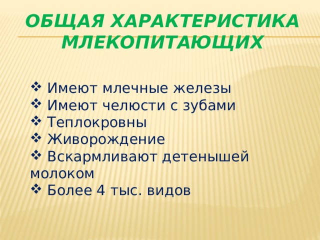 Общая характеристика млекопитающих  Имеют млечные железы  Имеют челюсти с зубами  Теплокровны  Живорождение  Вскармливают детенышей молоком  Более 4 тыс. видов   