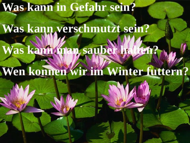 Was kann in Gefahr sein? Was kann verschmutzt sein? Was kann man sauber halten? Wen konnen wir im Winter futtern? 