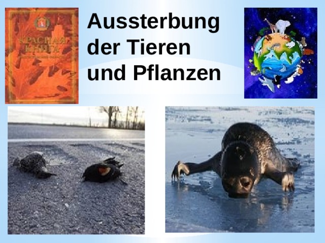  Aussterbung  der Tieren  und Pflanzen 