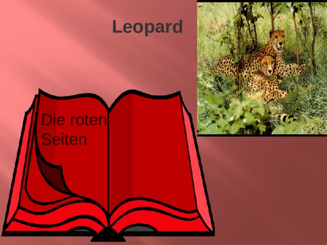 Leopard Die roten Seiten 